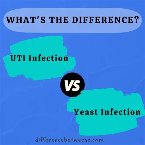 Difference Between Uti And Yeast Infection Difference Betweenz