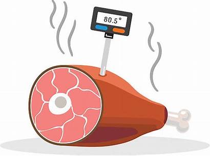Thermometer Meat Clip Illustrations Vector Temperature Safety