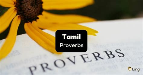 Learn These 15 Popular Tamil Proverbs Today Ling App