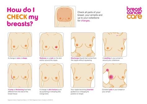 A study published in current oncology in 2006 indicates that breast cancer metastasis can lead. A guide to: Breast Cancer Awareness Month | WeAreTheCity