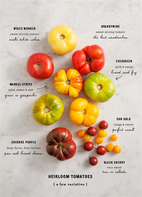 All About Heirloom Tomatoes Ideas For Serving And Cooking With The