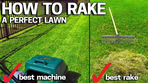 Before dethatching, check your grass height. How to Dethatch & POWER RAKE your LAWN - YouTube