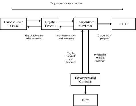 Flowchart Demonstrating The Progression Of Chronic Liver Disease To