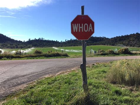 Whoa Check Out The Stop Signs In This Small Utah Town