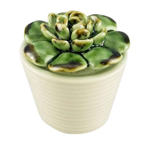 Encontre rapidamente o artigo placa de pedra rosa entre os 16 produtos das mais conceituadas marcas presentes na archiexpo, o site placas de pedra rosa. Suculenta Decorativa Rosinha De Pedra Porcelana P Na Casa ...