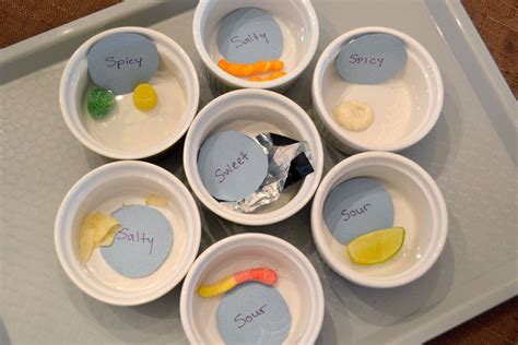 Home Create Play Travel Senses Preschool Test For Kids Food