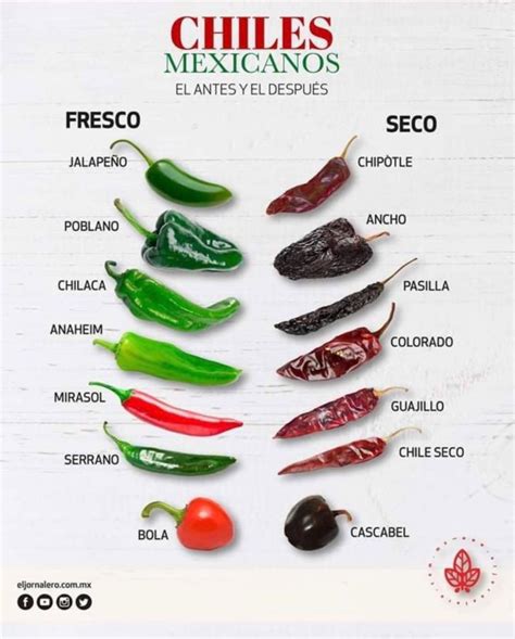 Infographic Mexican Chili Peppers Fresh Vs Roasted Infographictv