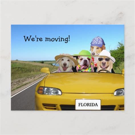 Customizable Funny Dogs Were Moving Announcement Postcard