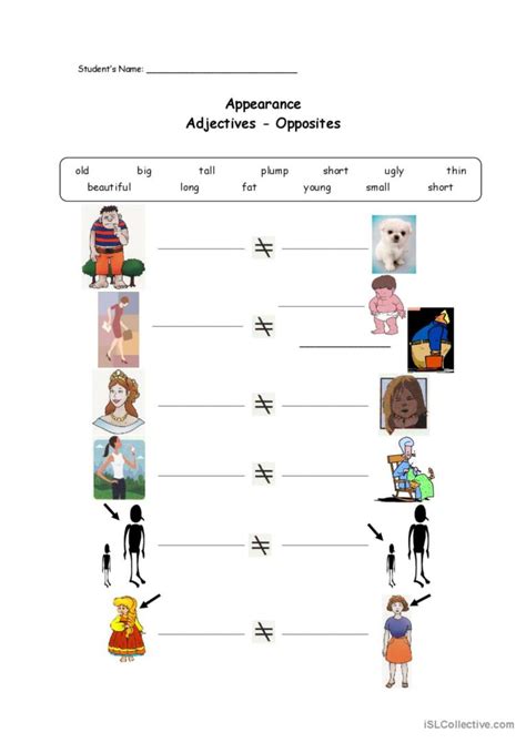 Appearance Adjectives Opposites English Esl Worksheets Pdf And Doc