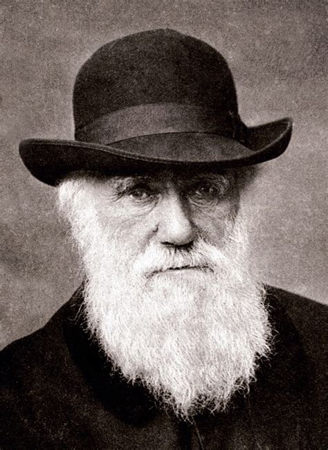 Fichiercharles Darwin 1880 — Wikipédia