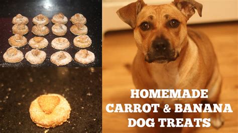 HOMEMADE DOG TREATS || CARROT & BANANA || StaffieGirlLola - YouTube