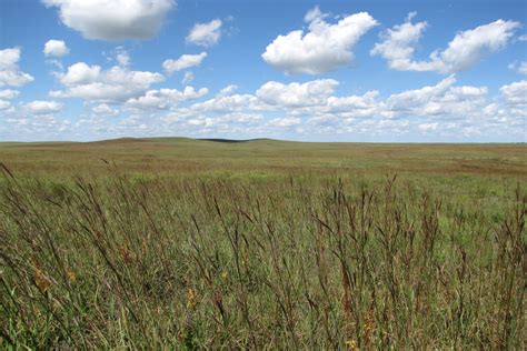 we ought to have saved a park in kansas tallgrass prairie national preserve u s national