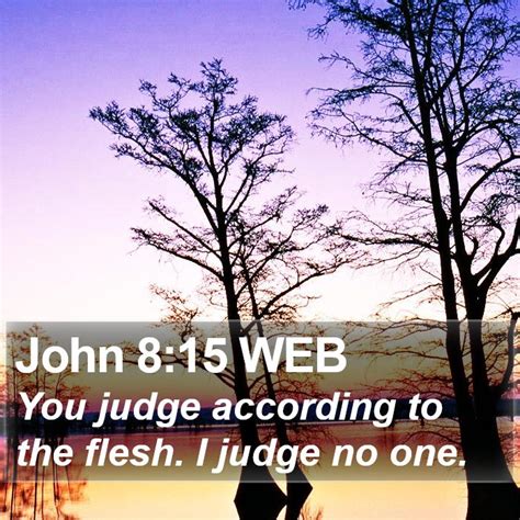 John 815 Web You Judge According To The Flesh I Judge No
