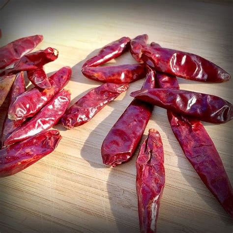 We did not find results for: BIG LIST OF HOT PEPPERS - Cayenne Diane