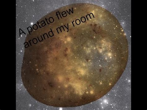 A potato flew around my room is apart of a popular vine involving a potato attached to a fan by a red sting while someone is singing a potato flew around my room before you came… this vine has been mimicked but those vines are cr@p compared to the original. A potato flew around my room - YouTube
