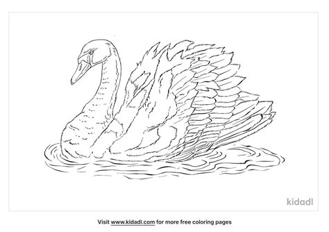 Free Trumpeter Swan Coloring Page Coloring Page Printables Kidadl