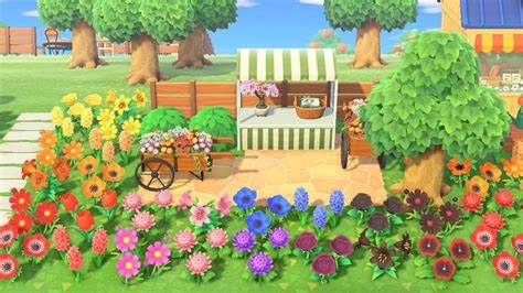 Maybe you would like to learn more about one of these? Isla on Instagram: "Flower market rainbow vibes🌈 Finally ...