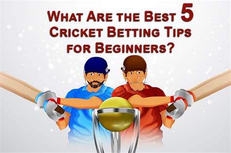 What Are The Best 5 Cricket Betting Tips For Beginners Cbtf Tips See