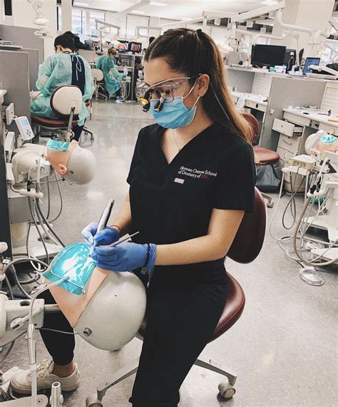 Zahnheilkundestudium Dentist In 2020 Dentistry Student Medicine