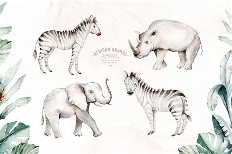 African Animals Watercolor Set African Animals Watercolor Animals