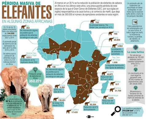 La Población De Elefantes Africanos Cae Un 30 En Siete Años Elefantes Elefante Africano