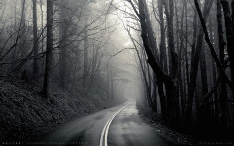 Mist Black Road Trees Hd Wallpapers Desktop And Mobile Images And Photos