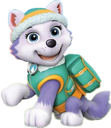 Patrulha Canina Png Imagens Png Everest Paw Patrol Enfeites Reverasite