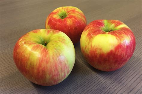 Most Common Types Of Apples A Guide The Dish Blog Stauffers