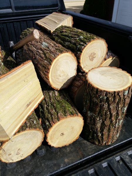 Yellow and black birch present a distinct wintergreen odor. Firewood Identification | Firewood Hoarders Club