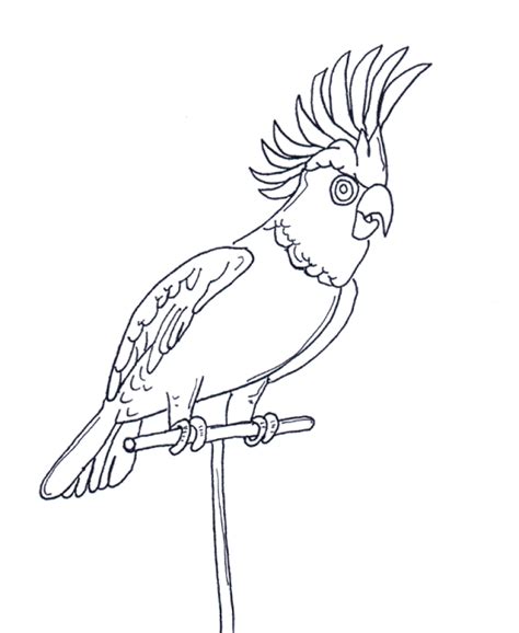 Parrot Coloring Page Animal Coloring Page