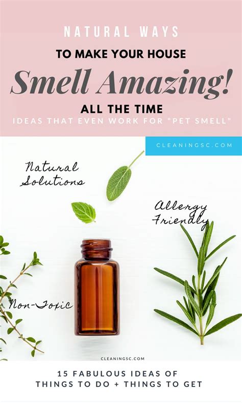 Make Your House Smell Good Naturally With 15 Fabulous Ideas In 2020