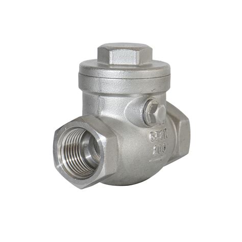 Stainless Steel 316304 Swing Check Valve Bspnpt China Swing Check