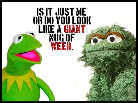 Oscar The Grouch Kermit The Frog Funny Picture ~ Quote ~ Quotes Funny Funny Pictures Jokes