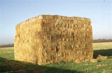 A Stack Of Hay Bales Living Archive