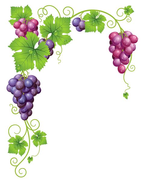 Transparent Vine Decor Png Clipart Picture Grape Painting Grapes
