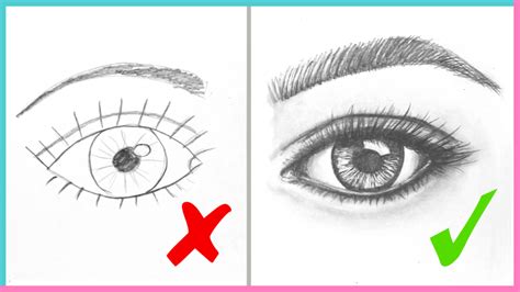 Dos And Donts How To Draw Realistic Eyes Easy Step By Step Art