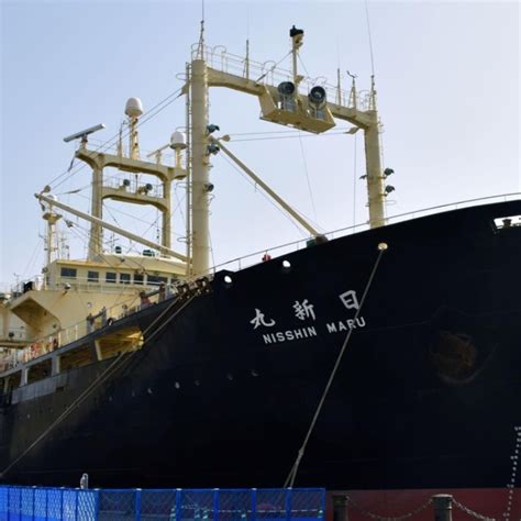 Japan Whalers Return From Antarctic Hunt After Killing 333 Whales