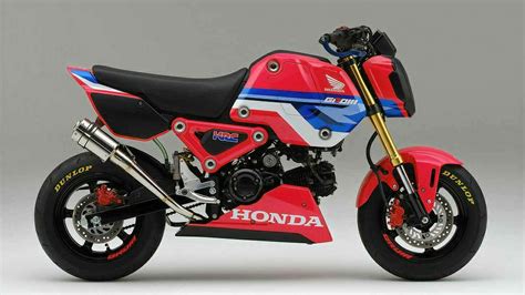 Honda Msx 125 Grom Hrc Race Bike