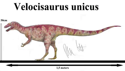 Velocisaurus Unicus By Teratophoneus On Deviantart