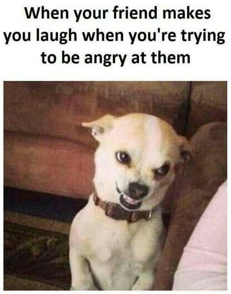 51 Anger Memes For Dealing With Pent Up Rage Happier Human
