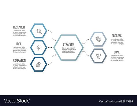 Business Infographic Organization Chart With 5 Vector Image