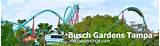 Busch Gardens Florida Weather Images