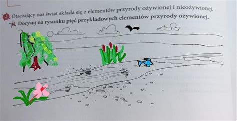 Na Skałach Rozwijają Się Organizmy Pionierskie - Zad. 2 (KL. 5) A) Dorysuj na rysunku pięć przykładowych elementów