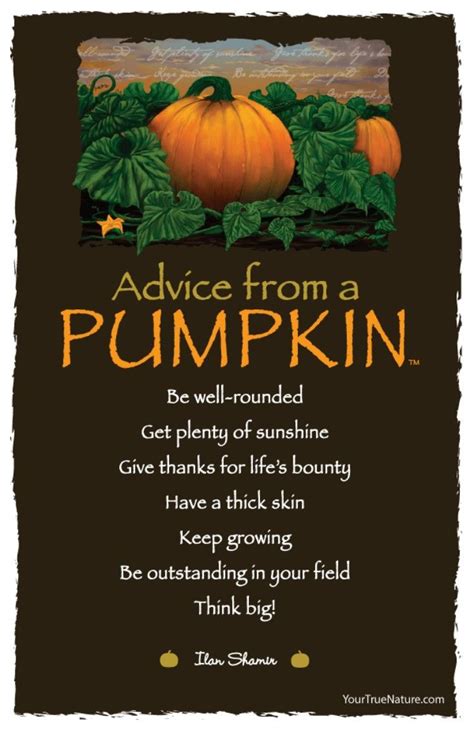 Lol Funny Humor Pumpkin Autumn Quotes A Pumpkin