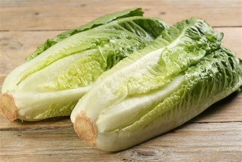 Stay Away From All Romaine Lettuce Cdc Advises As E Coli Outbreak Worsens