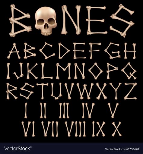 Bones Alphabet Royalty Free Vector Image Vectorstock