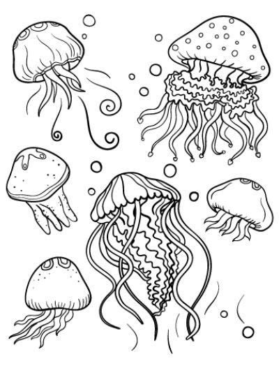 47 Jellyfish Coloring Page For Kids Images Colorist
