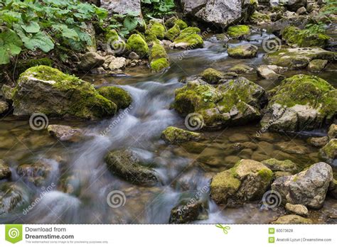Forest River Flows Among Mossy Stones Stock Photo Image Of Rock