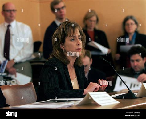 Budget Director Laura Anglin Speaks During A Joint Hearing Of The