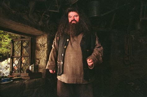 Portrait Of Rubeus Hagrid — Harry Potter Fan Zone